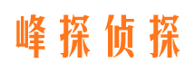 大观侦探